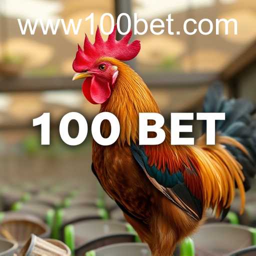 The Digital Evolution of Online Sabong and the Influence of the 